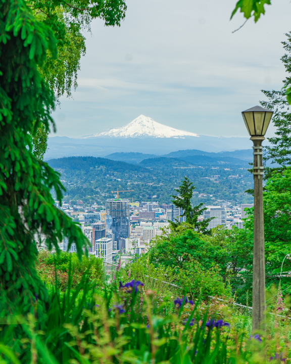 View of mount Hood over Portland, OR's skyine
